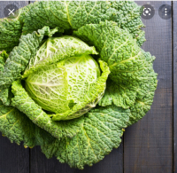 Choux vert bio