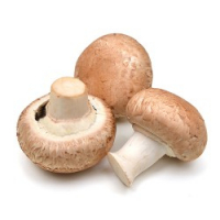Champignons de paris bruns