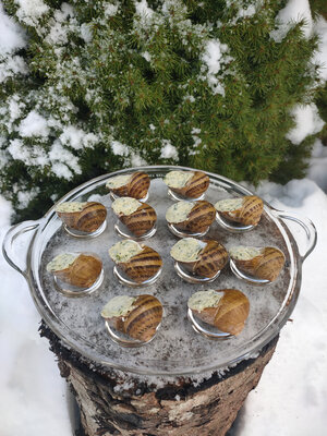 120 coquilles d'escargot au beurre persillé