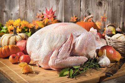 Dinde vidée prête à cuire (5kg à 5,2kg)