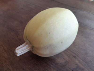 Courge spaguetti