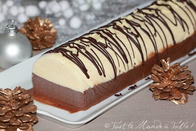 Bûche glacée 'des ballons' (6 parts)
