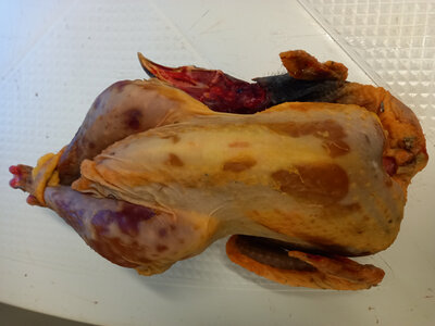 Pintade fermière prête à cuire (1,6kg/1,8kg)