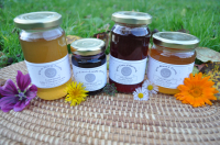 Gelée abricot & verveine