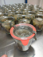 24 escargots gros gris au court bouillon