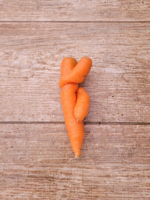 Carottes moches