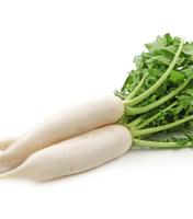 Radis d,hiver type daïkon