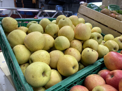 Pommes bio « golden »