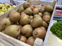 Poires bio « comice »