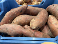 Patate douces bio