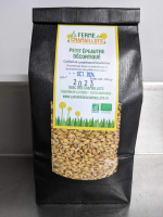 Petit épeautre décortiqué bio