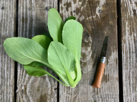 Chou pak choi