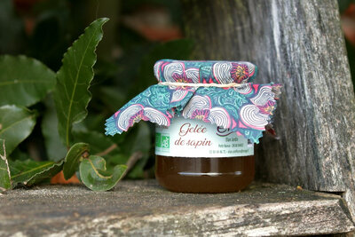 Gelée de sapin