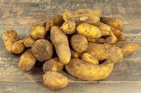 Pomme de terre ratte