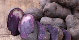 Pomme de terre vitelotte