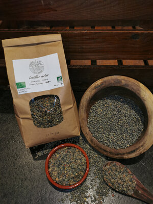 Lentilles vertes bio