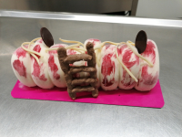 Bûche citron cassis