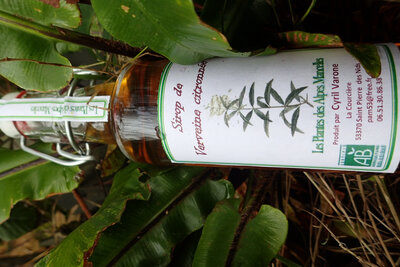 Sirop de verveine citronnée