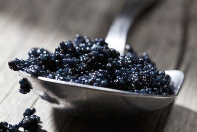 Caviar selection riviera 10g