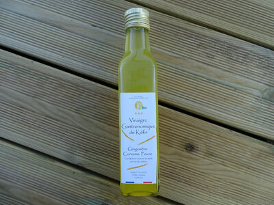 Vinaigre gastronomique kéfir gingembre curcum