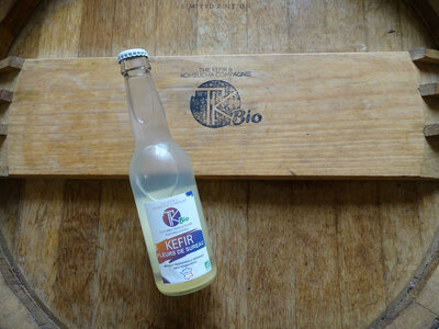 Kefir fleurs de sureau bio