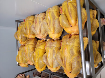 Chapon 3,8kg/4,2kg