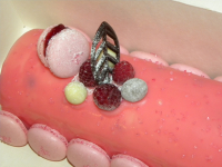 Bûche vanille/framboise 6/8 parts