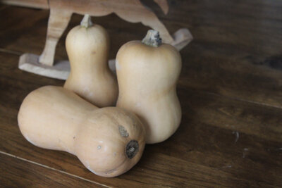 Courge butternut
