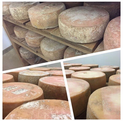Tomme de chèvre