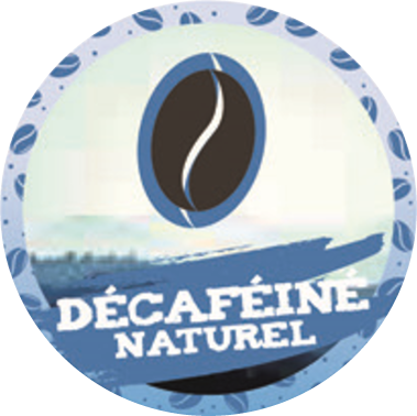 Café décaféiné mexique chiapas sueño