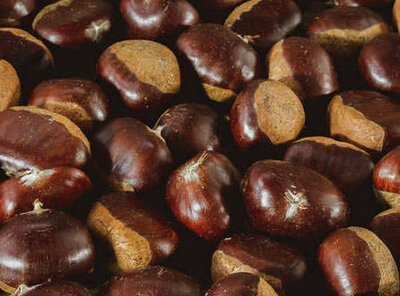 Marrons