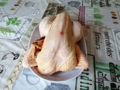 Chapon