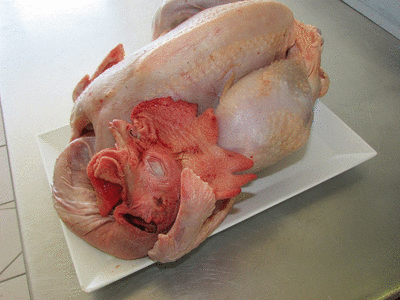 Coq 'spécial noël'