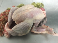 Dinde grise fermière pour 12 / 14 personnes