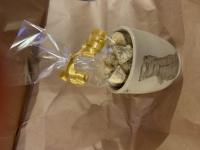 Tasse de marmottes avec ses crottes