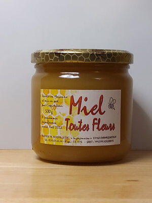 Miel toutes fleurs 500g