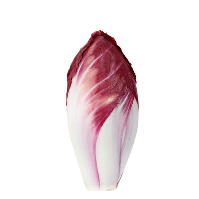 Endives rouges sans engrais ni traitements