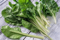 Mini bette (sous réserve)