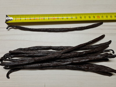 Vanille gousses bourbon gourmet 20/22 cm