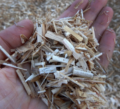 Miscanthus paillage de litieres