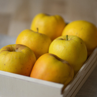 Plateau pomme opal (6,8kg de fruits)