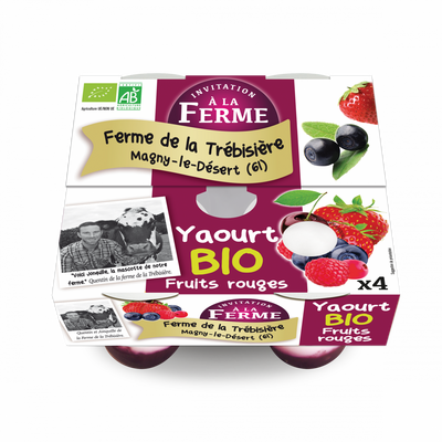 Yaourt brassé fr.rouges fermier et bio 4x125g