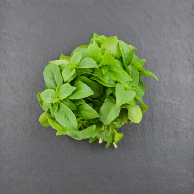 Basilic marseillais