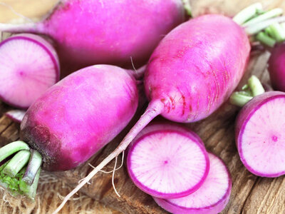 Radis violet