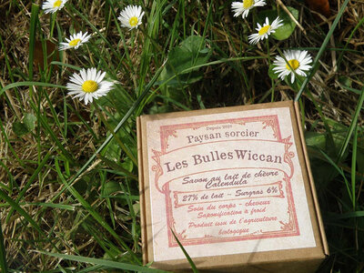 Savon chevre calendula