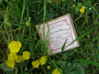 Savon au lait de brebis argan