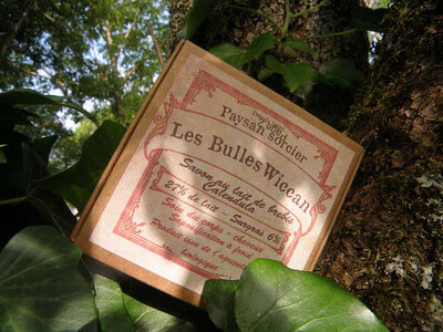 Savon au lait de brebis calendula