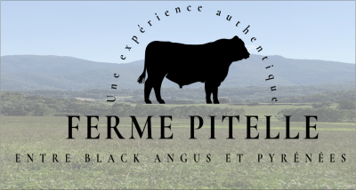 Basse cote de boeuf black angus bio