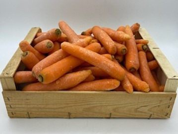 Carottes vrac bio