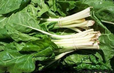 Cotes de bette bio